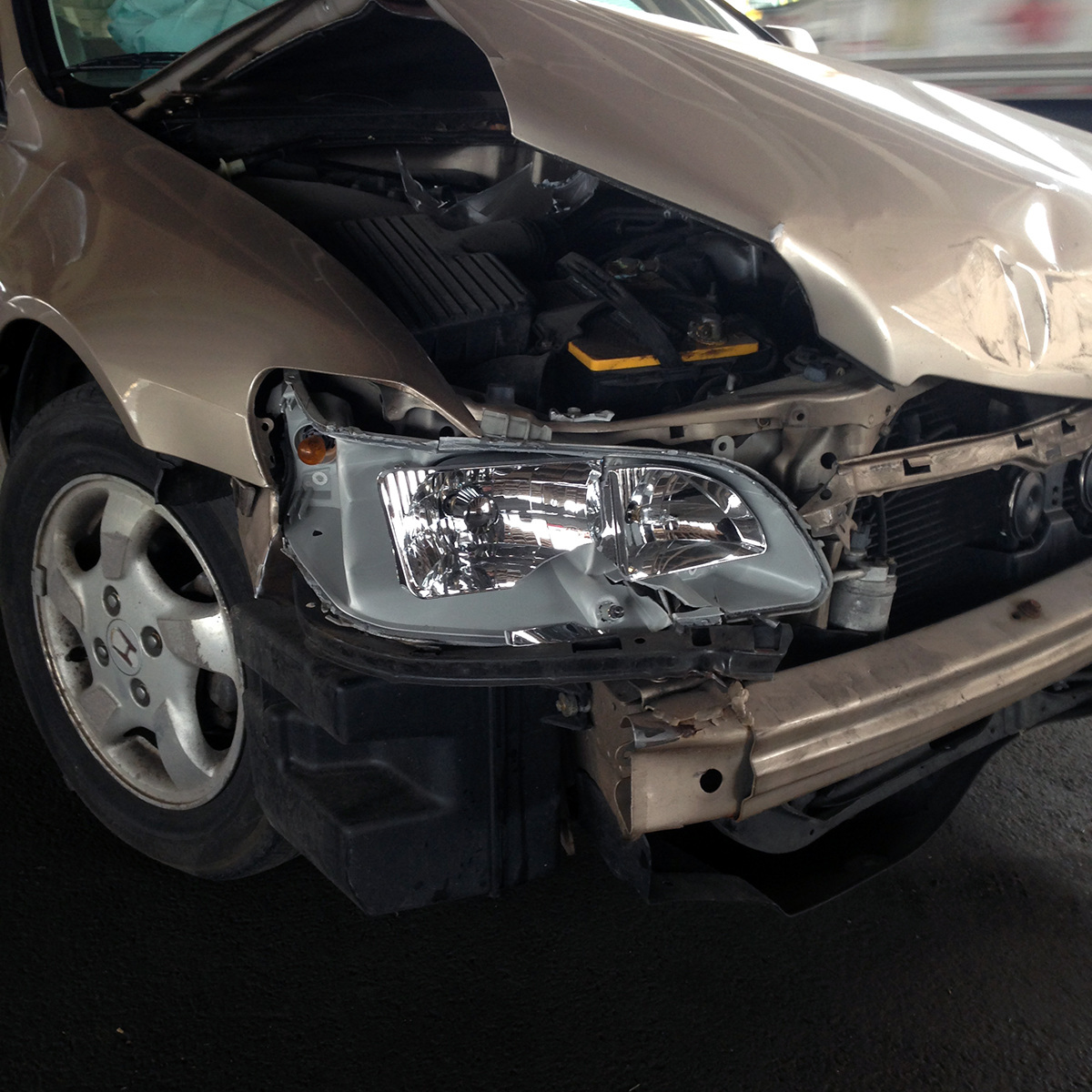 What is the cause of the plague in thebes? picture